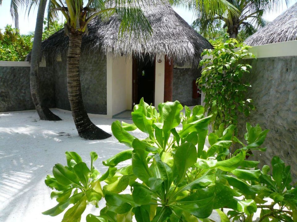 Beachbungi Nr.105 Sun Siyam Vilu Reef