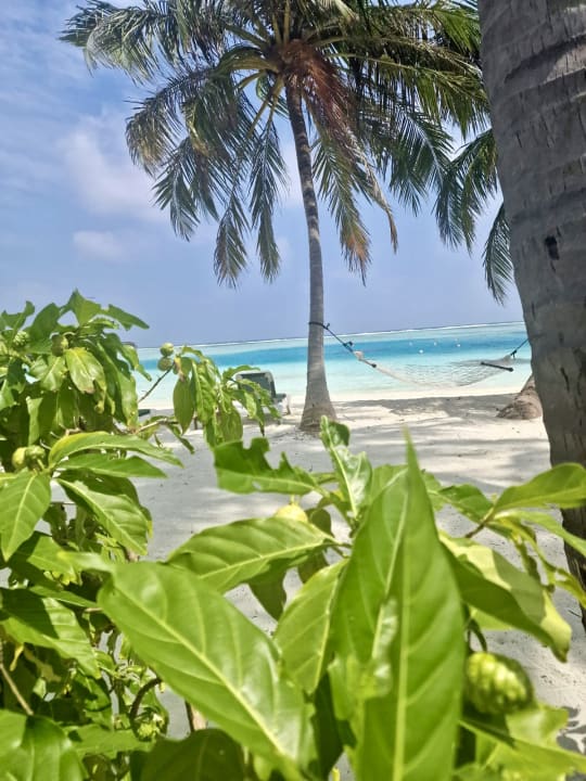 Strand Meeru Maldives Resort Island
