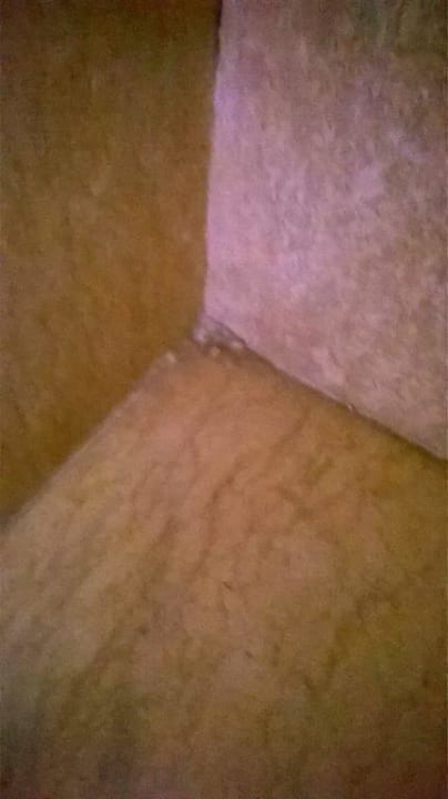 Bad Seagull Beach Resort