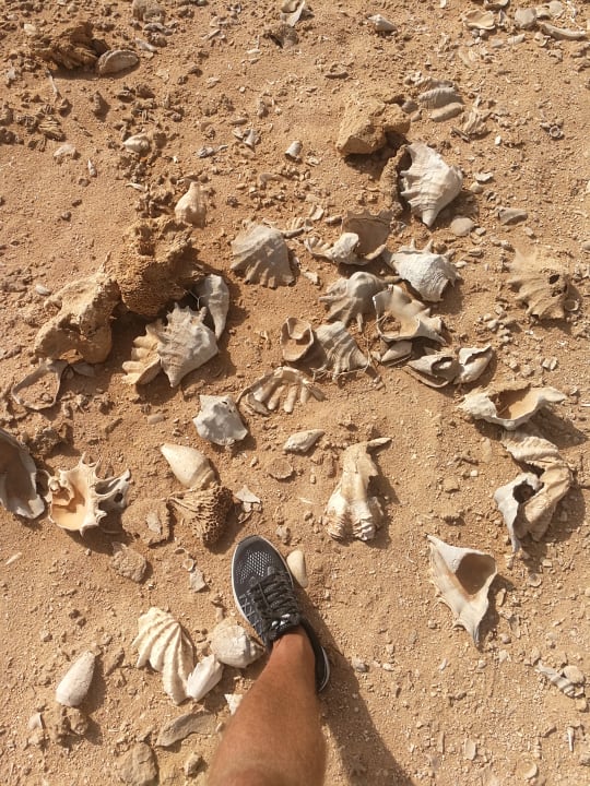 Strand Three Corners Sea Beach Resort