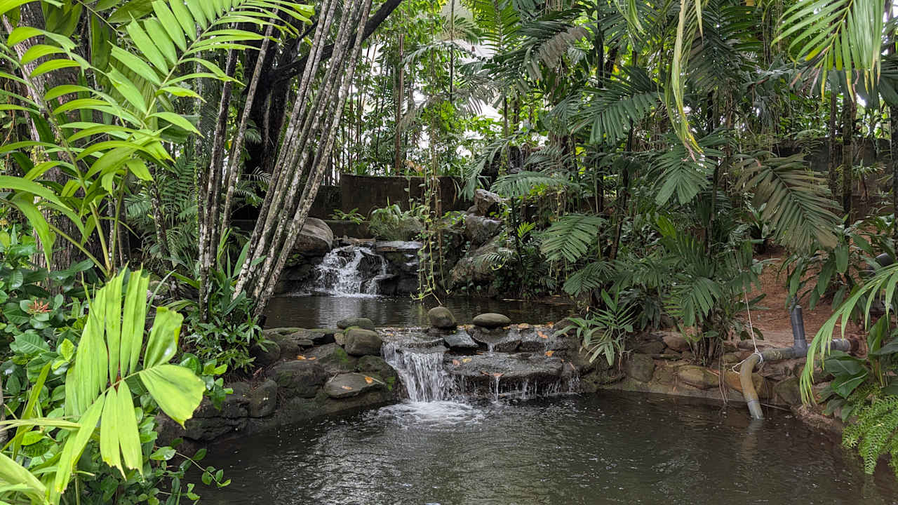 Außenansicht Occidental Eden Beruwala, a member of Barcelo Hotel Group