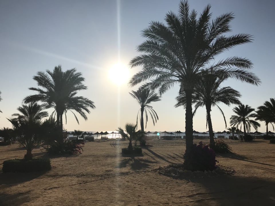 Gartenanlage Wadi Lahmy Azur Resort