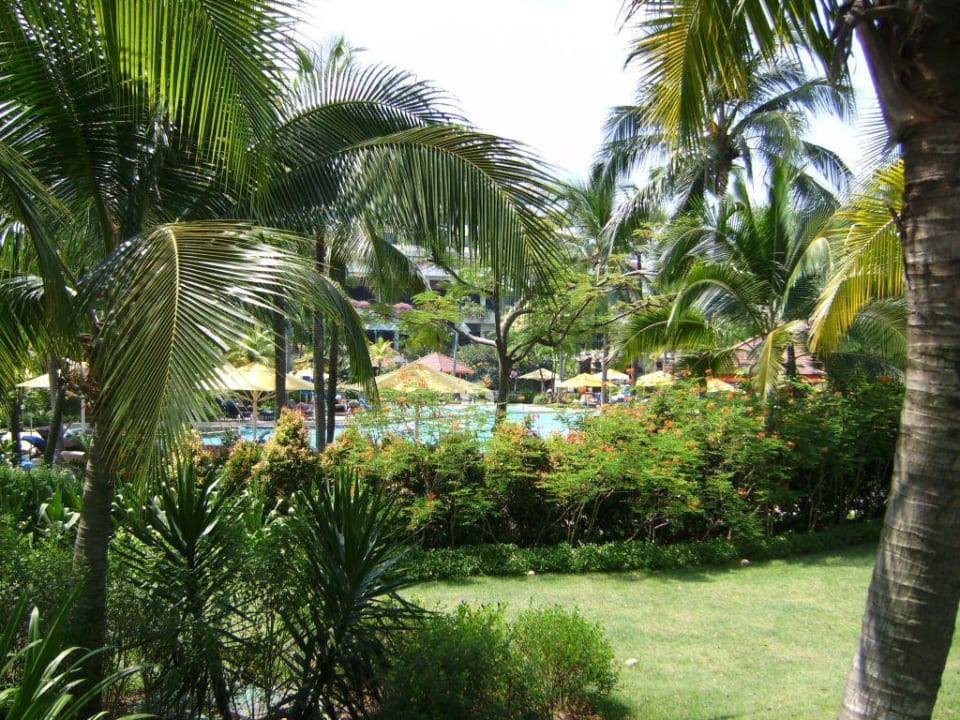 Grünanlage um den Pool Hotel Shangri-La's Rasa Sentosa Resort