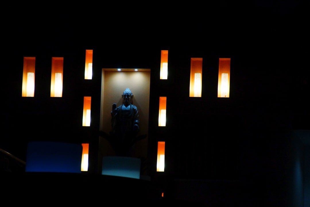 Gartenanlage Hotel Riu Nautilus - Adults only