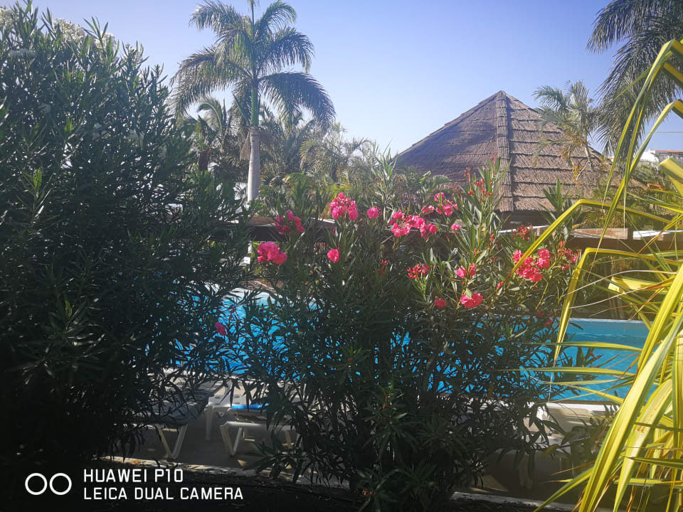 Pool Fuerteventura Princess