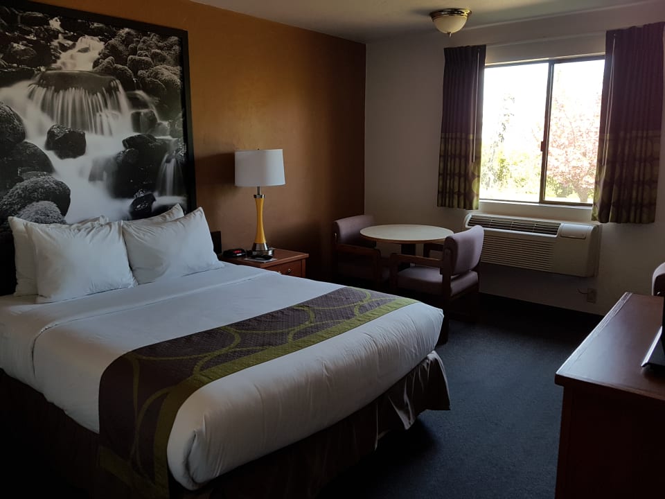 Zimmer Super 8 Port Angeles