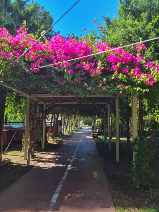 Gartenanlage Saturn Palace Resort Hotel