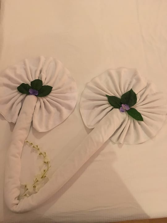 Danke! Seaden Sea World Resort & Spa