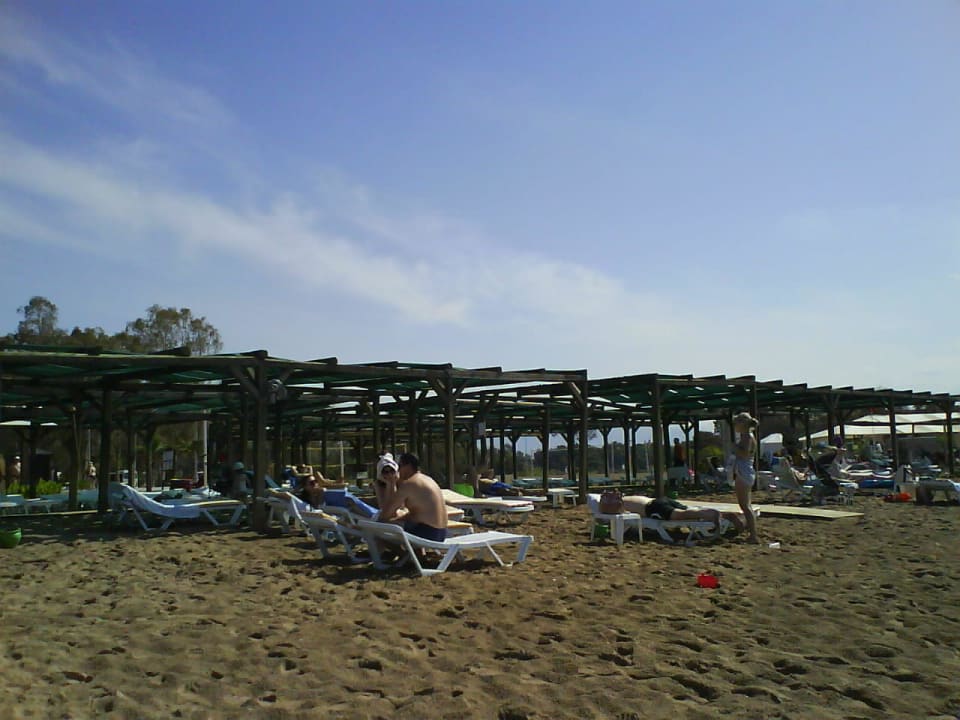 Shaded, clean and safe Marvida Family Eco