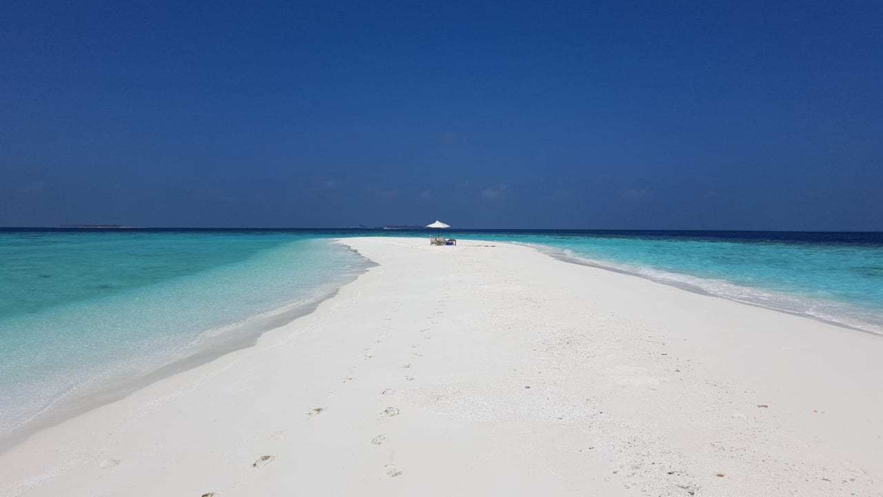 Strand Summer Island Maldives