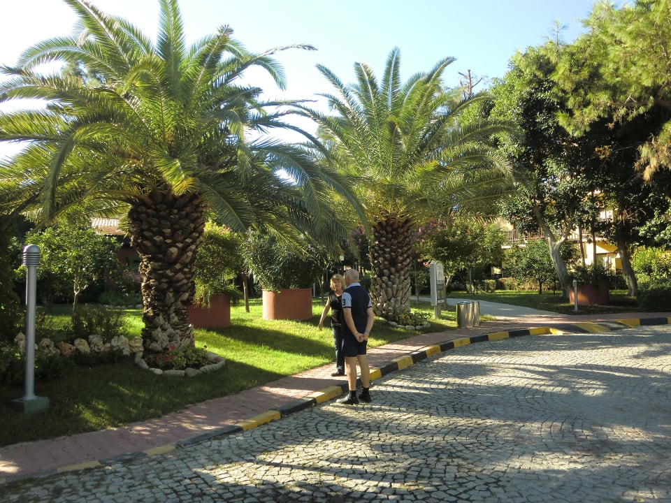 Vor dem Hotel Alba Resort Hotel