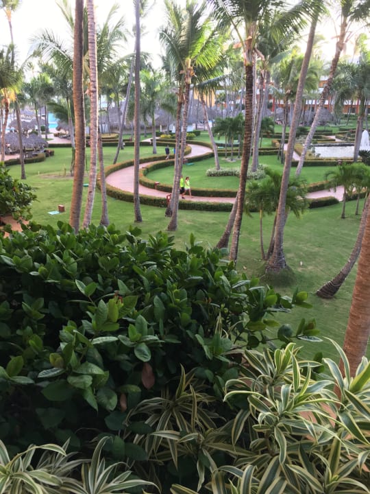 Gartenanlage Iberostar Waves Punta Cana