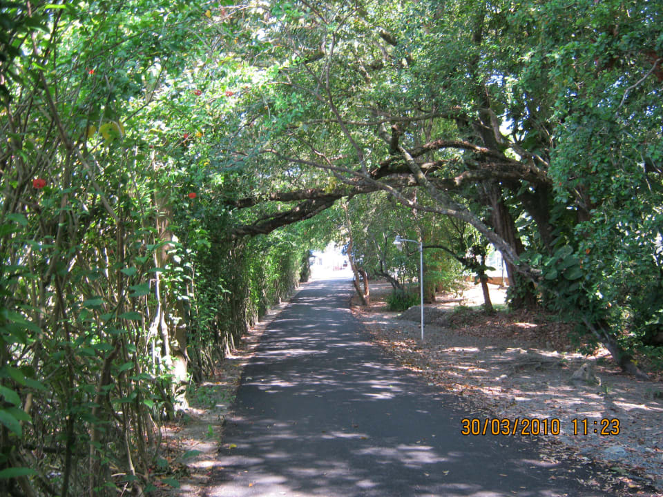 Weg zum Strand ca.400m Puerto Plata Village