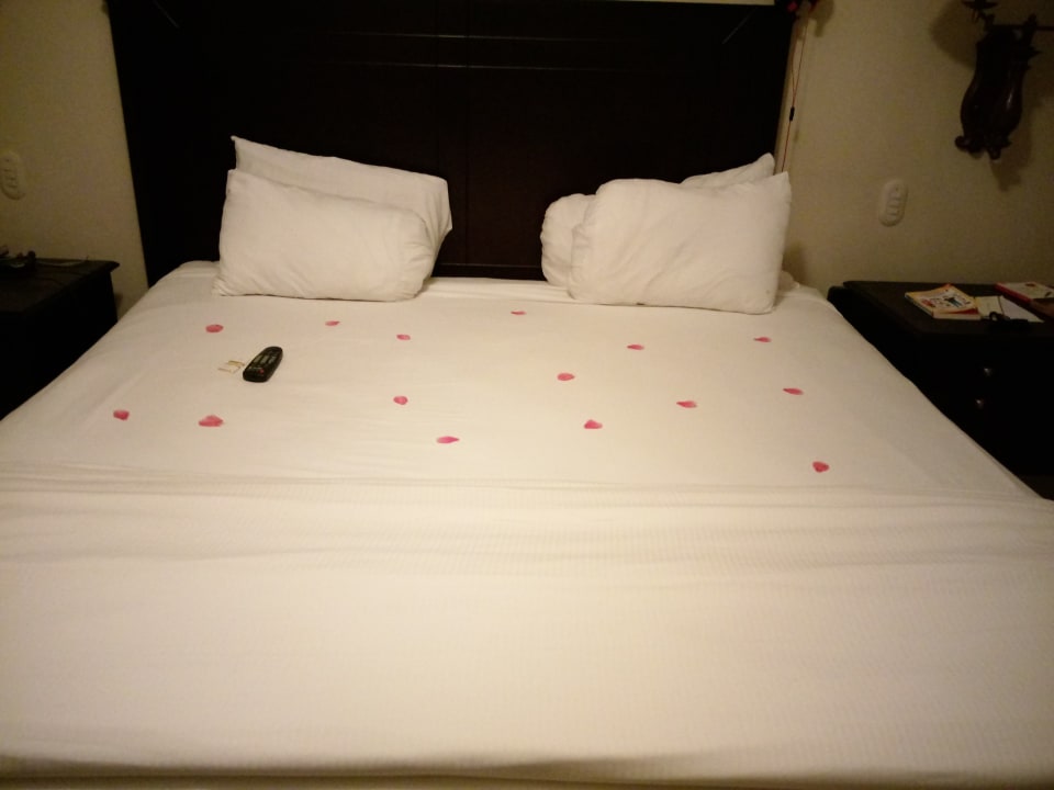 Zimmer Dreams La Romana Resort & Spa