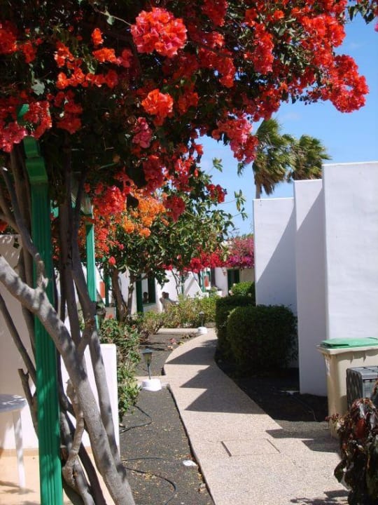 Hyde Park Lane Hotel Hyde Park Lane