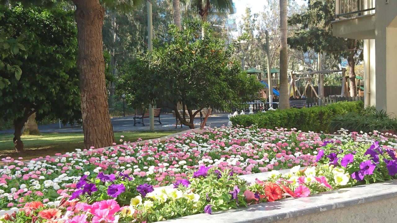 Blick beim Frühstück auf der Terrasse  Arum Barut Collection