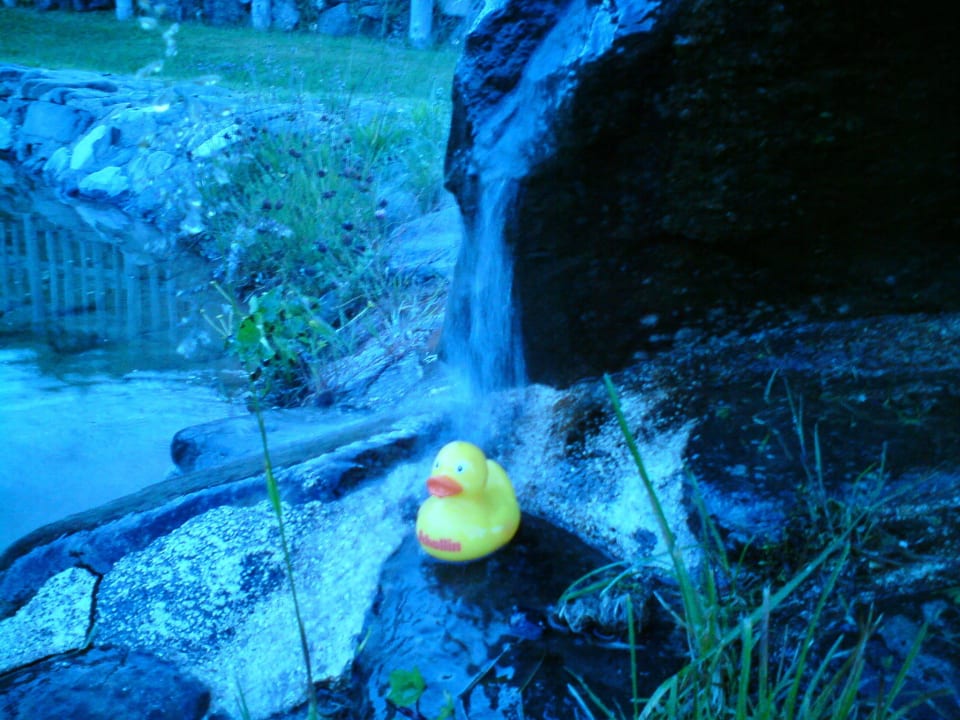 Hier fühlt sich JEDER wohl! Gasthof Schwabenhof