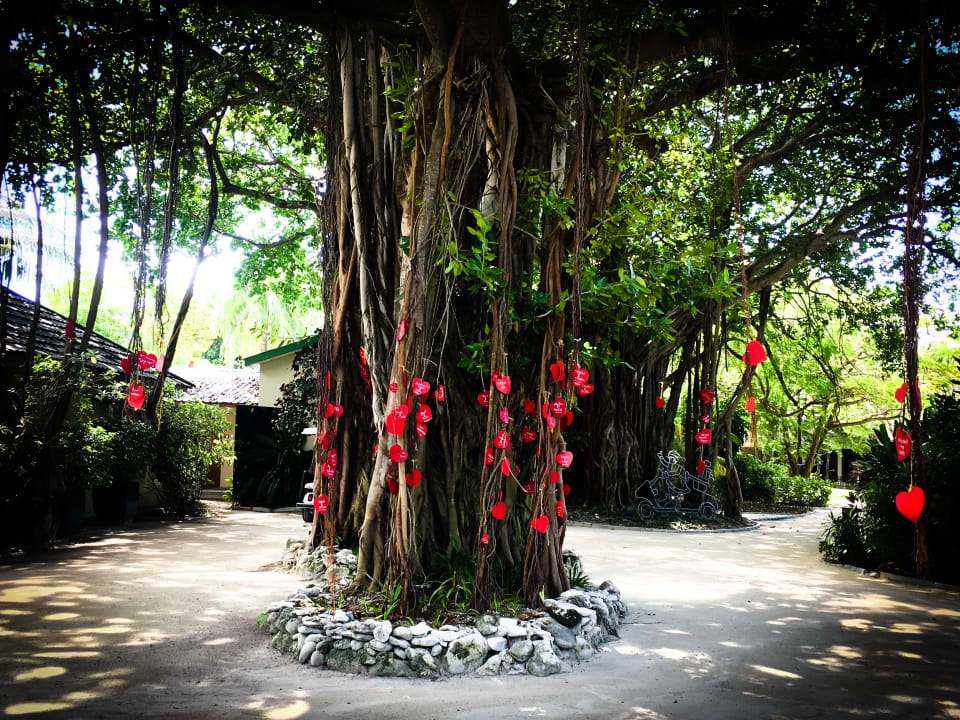 Lobby Adaaran Select Hudhuran Fushi - Premium All Inclusive