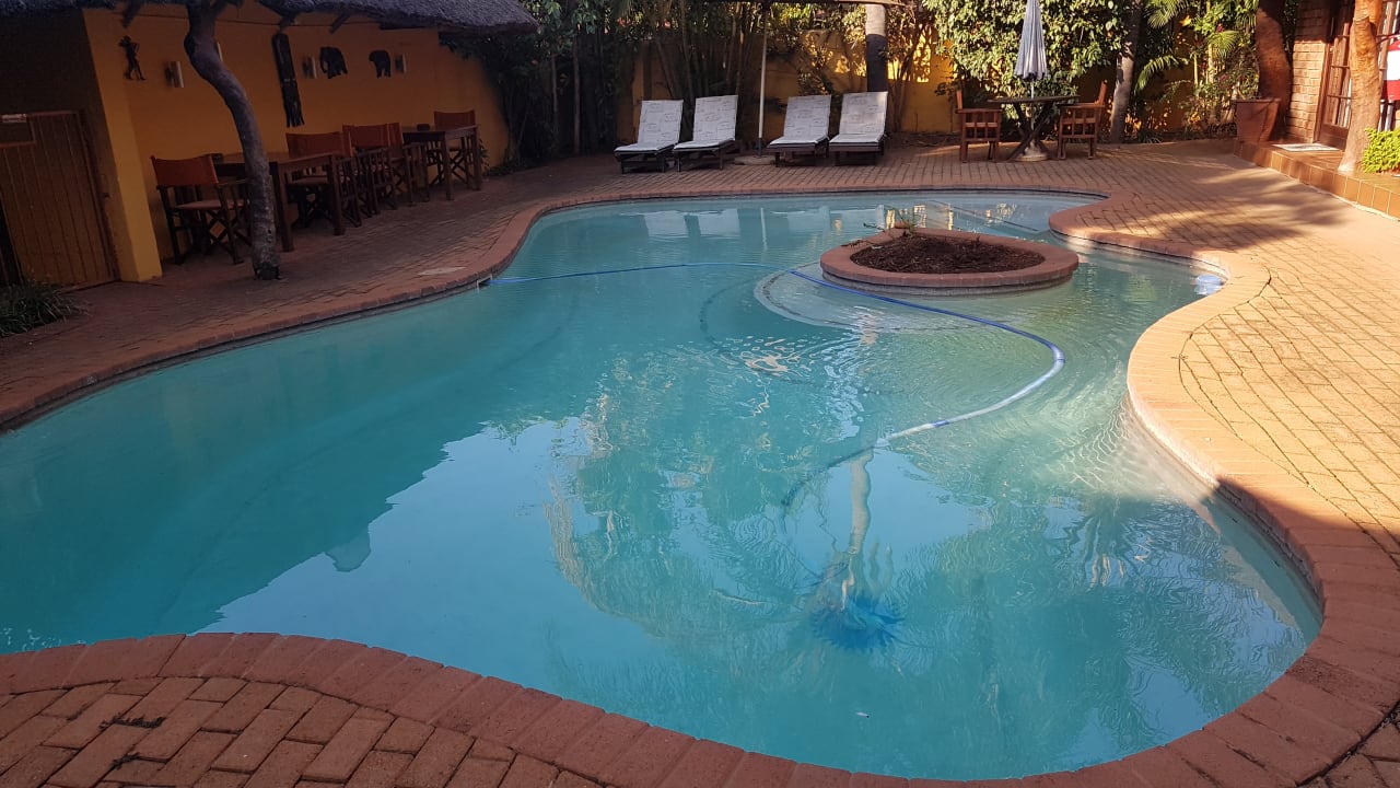 Pool Trees Too Guest Lodge