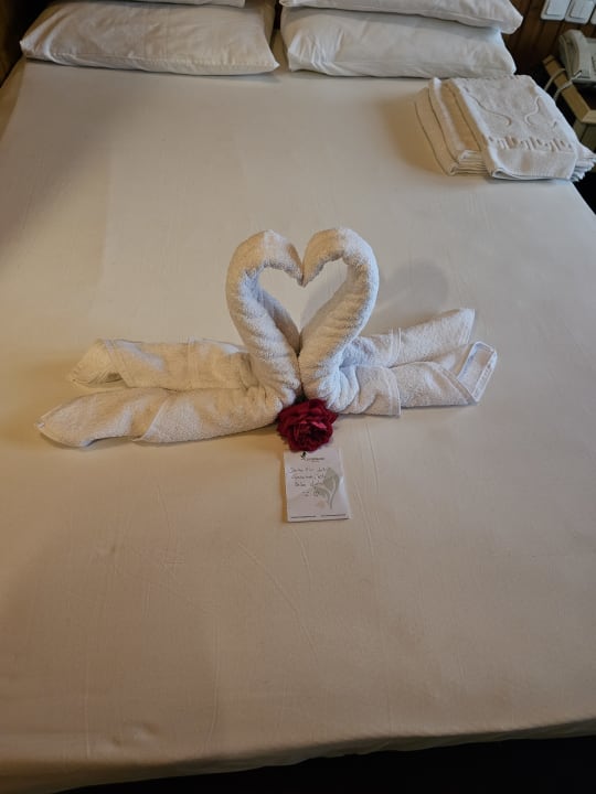 Zimmer Clover Magic Nova Beach