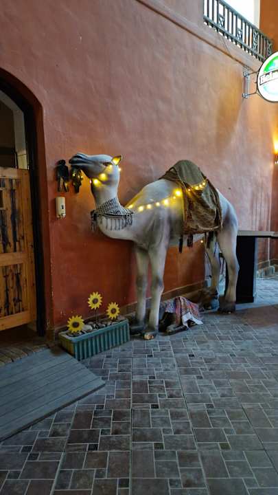 Gastro Arabella Azur Resort