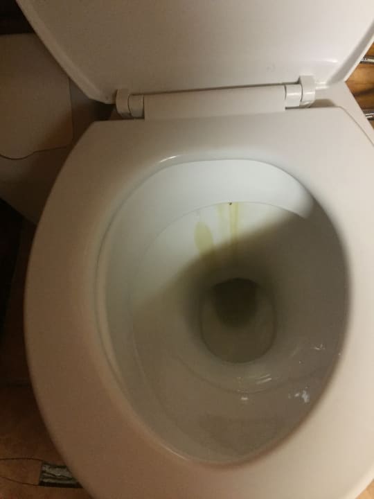 Zimmer Hotel Tsitsikamma Lodge