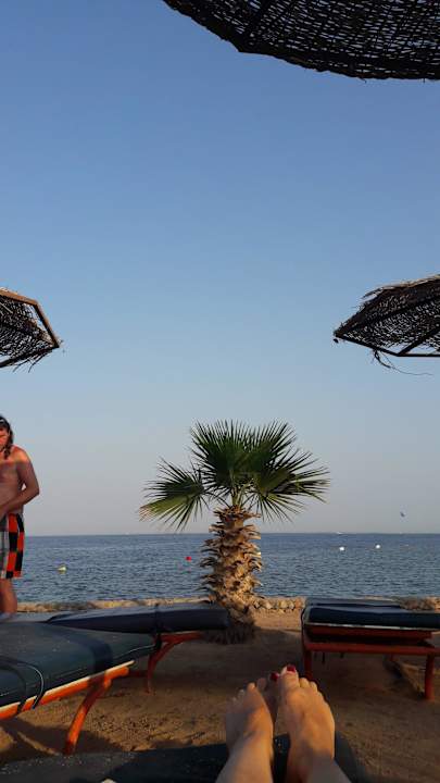 Einfach zum Geniessen Arabia Azur Resort