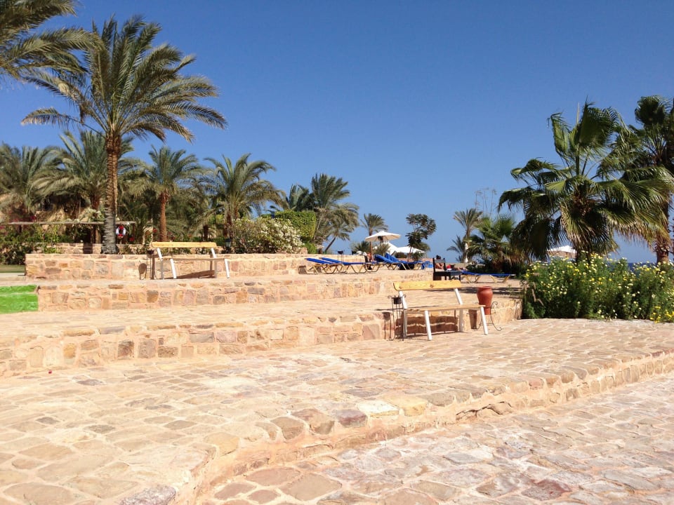 Gartenanlage Steigenberger Coraya Beach - Adults only