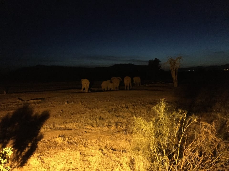 Gartenanlage Sentrim Tsavo Lodge