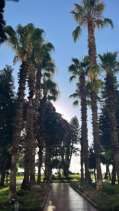 Sonstiges TUI MAGIC LIFE Beldibi +16