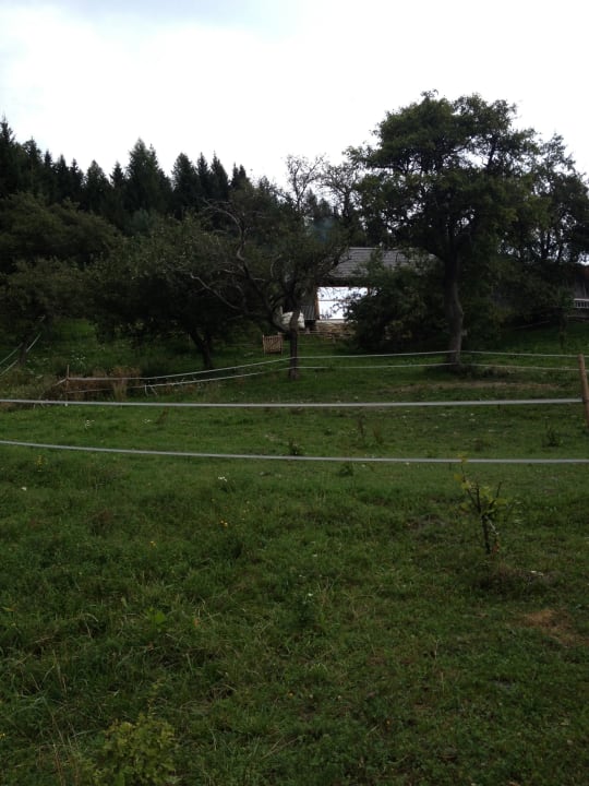 Bienenalm LUXGUT - OLIVIA