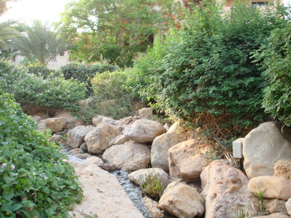 Hotel Mövenpick Mövenpick Resort & Spa Dead Sea