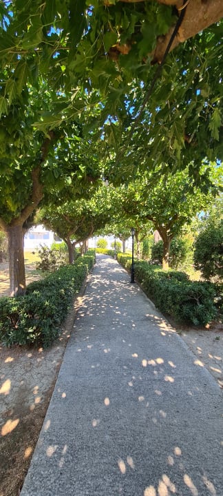 Gartenanlage Hotel Sirocco