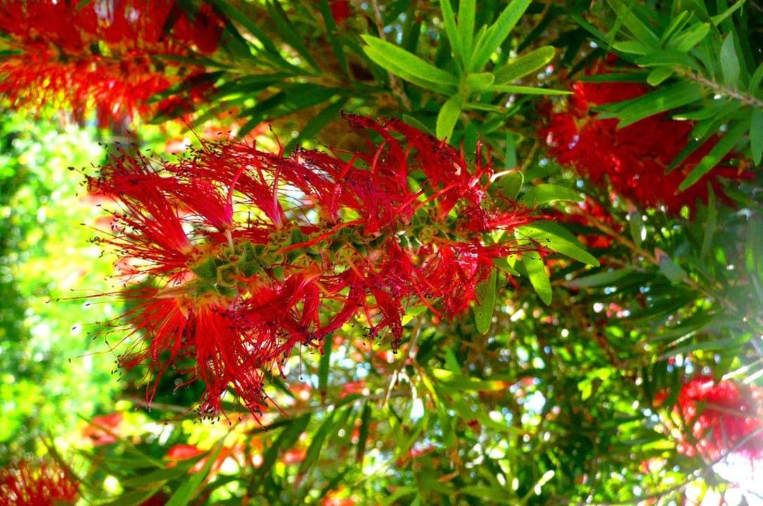 Красивый вид AQI Pegasos Resort