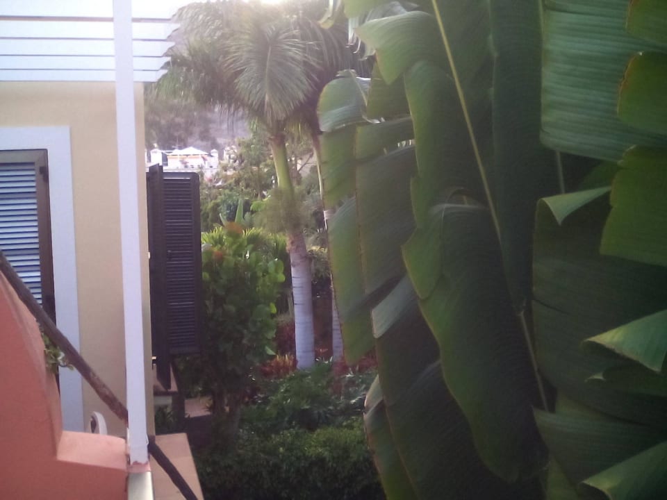 Balkonblick Hotel Cordial Mogán Playa