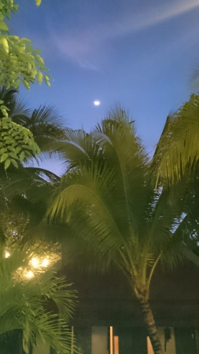 Gartenanlage Khaolak Laguna Resort