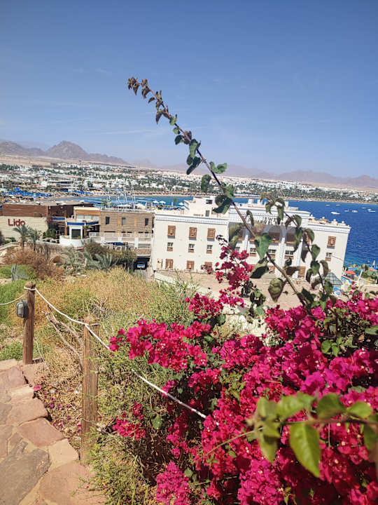 Strand Ghazala Beach