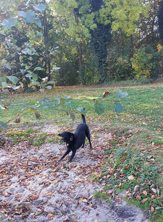Strand Seehotel Schloss Klink