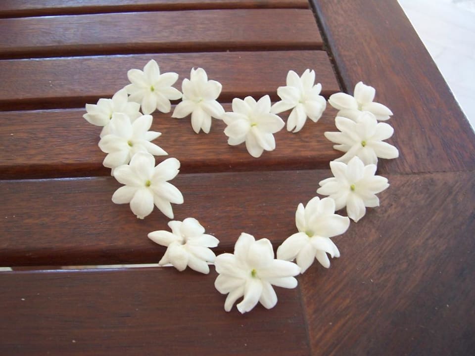 Inspiration Bugarinie Porto Koukla Beach