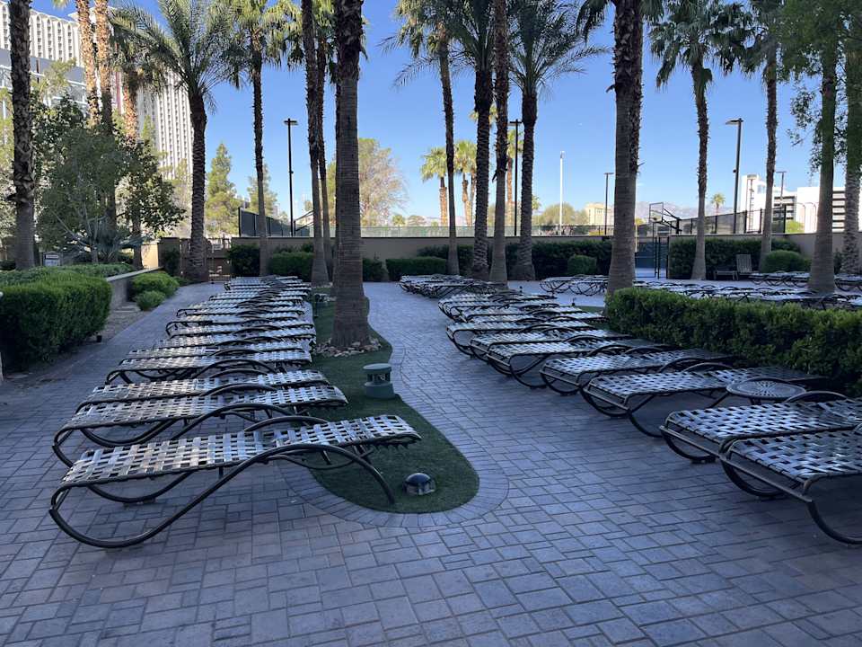 Pool Hilton Grand Vacations Suites on the Las Vegas Strip