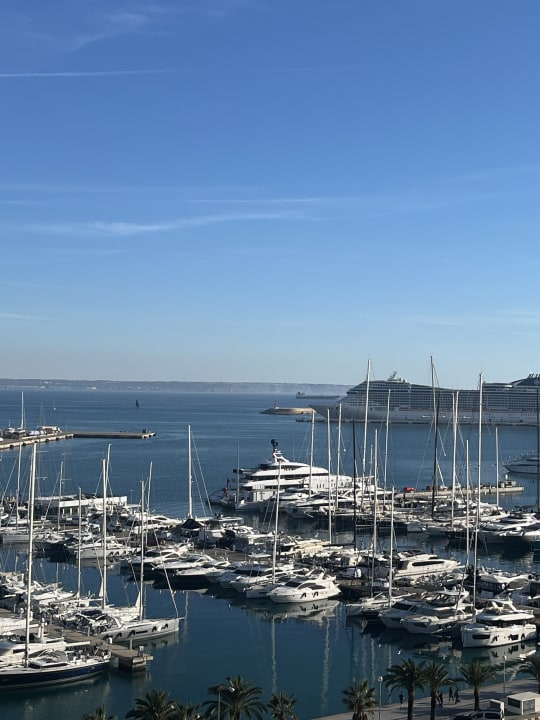 Ausblick Melia Palma Marina