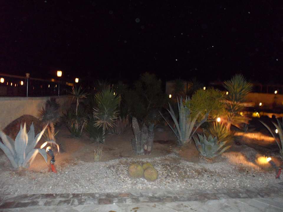 Gartenanlage bei Nacht Pickalbatros Dana Beach Resort - Hurghada