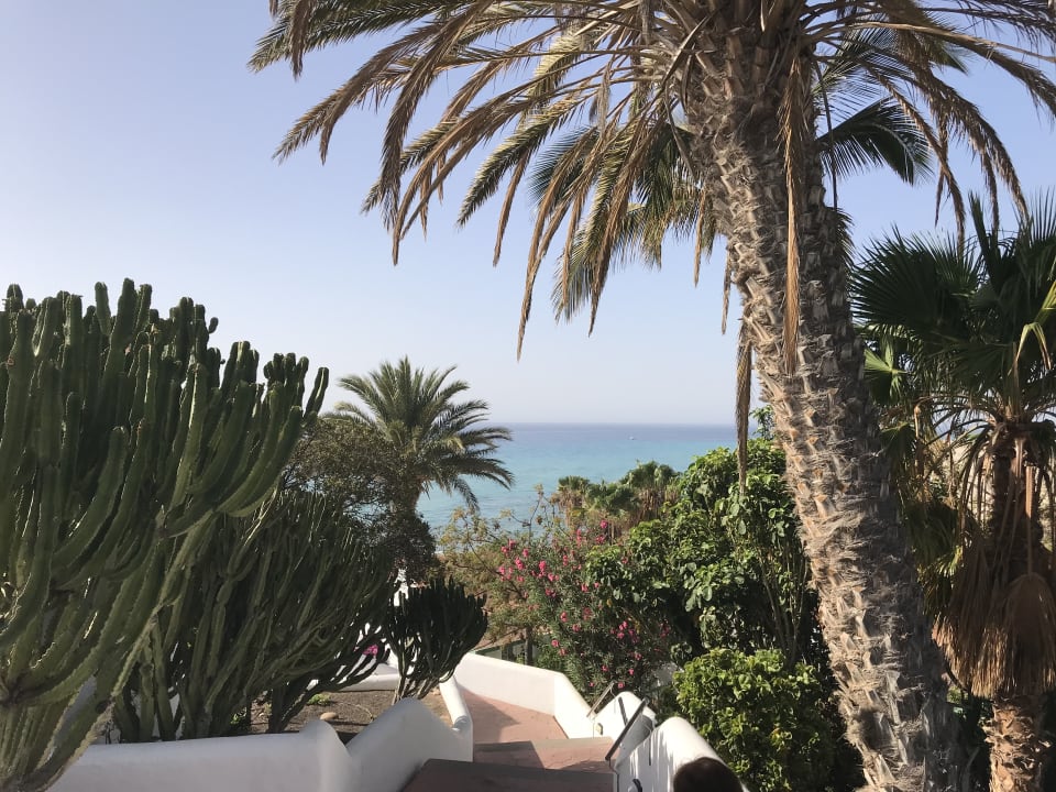 Ausblick Aldiana Club Fuerteventura