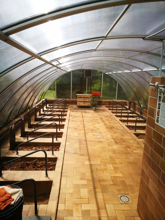 Sonstiges BollAnts Spa im Park