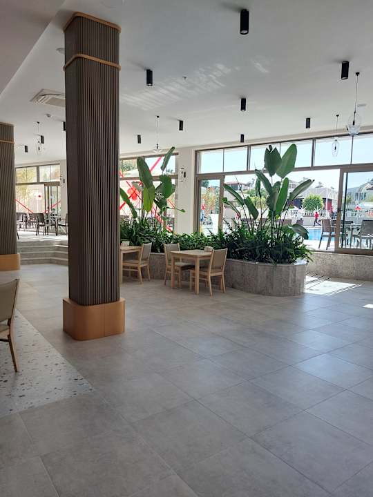 Gastro Seashell Vega