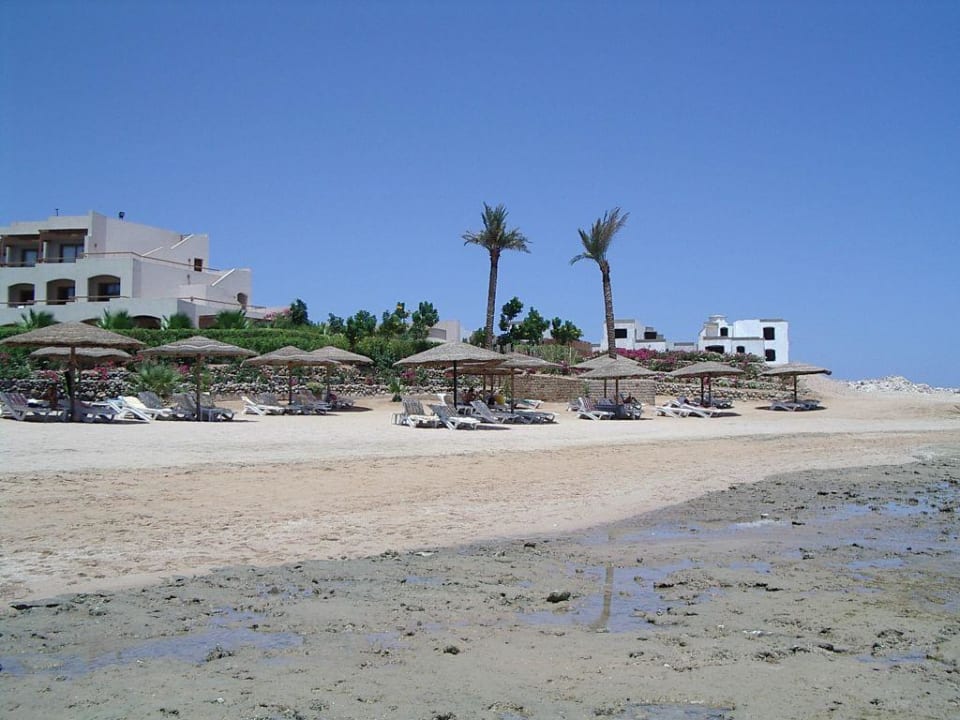 Strand bei Ebbe! Fort Arabesque Resort, Spa & Villas