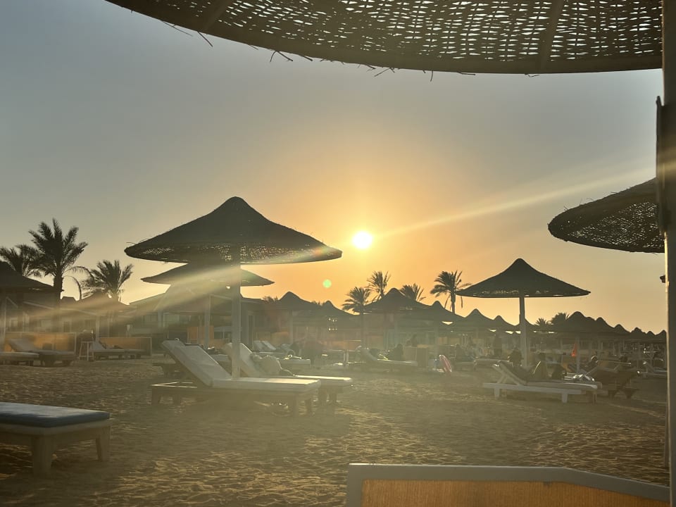 Strand Pickalbatros Sea World Resort - Marsa Alam