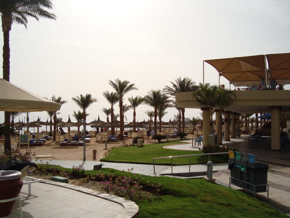 Gartenanlage Beach Albatros Resort