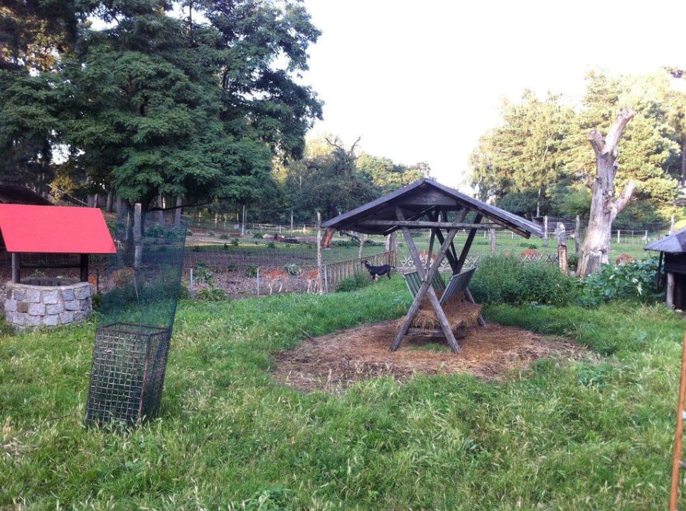 Gehege der Ziegen Hotel Gravelotte