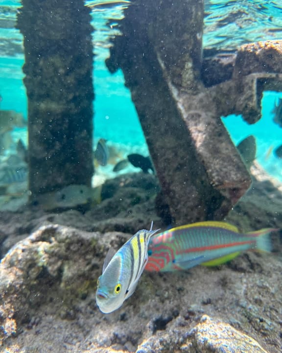 Strand Lazuli Hotel Marsa Alam